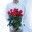 YURIY