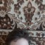 Артём