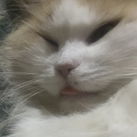 Знакомства JustEuphoria